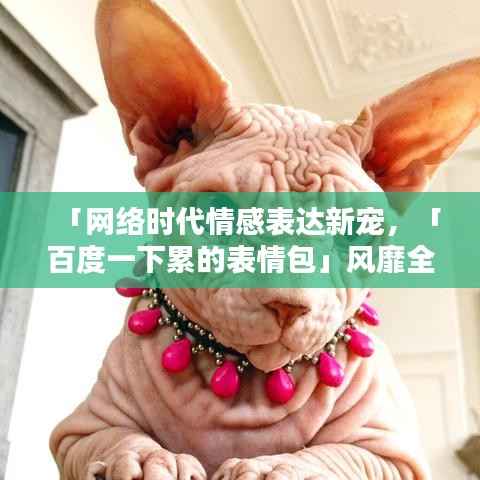 「网络时代情感表达新宠,「百度一下累的表情包」风靡全网!」