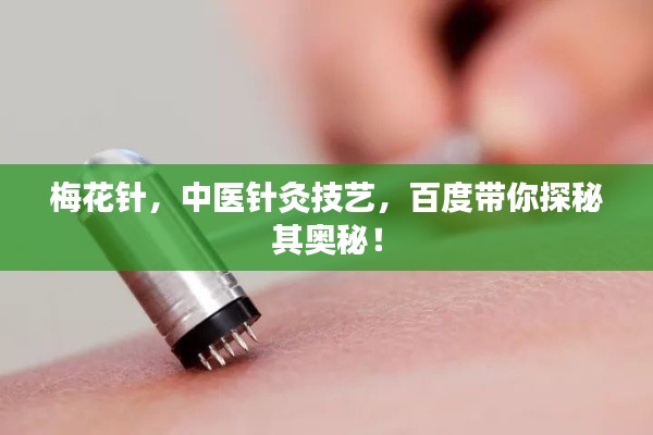 梅花针,中医针灸技艺,百度带你探秘其奥秘!
