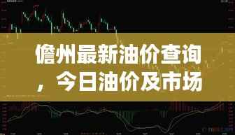 儋州最新油价查询,今日油价及市场分析