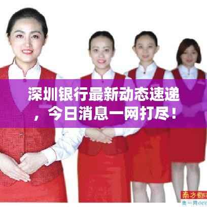 深圳银行最新动态速递,今日消息一网打尽!
