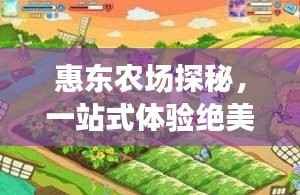 惠东农场探秘,一站式体验绝美风光与丰富农情