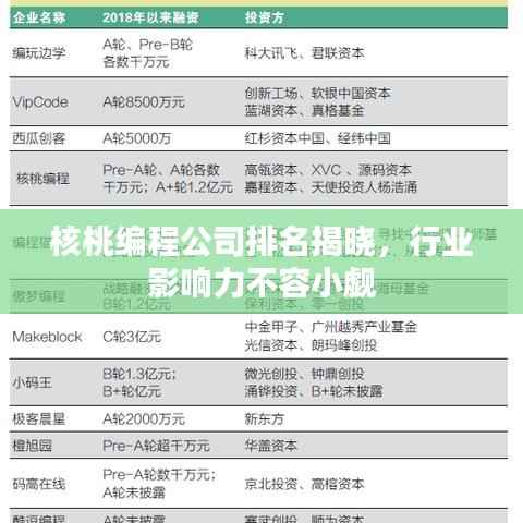 核桃编程公司排名揭晓,行业影响力不容小觑