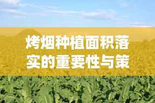 烤烟种植面积落实的重要性与策略解析