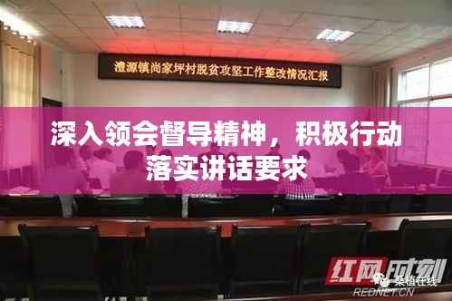 深入领会督导精神,积极行动落实讲话要求