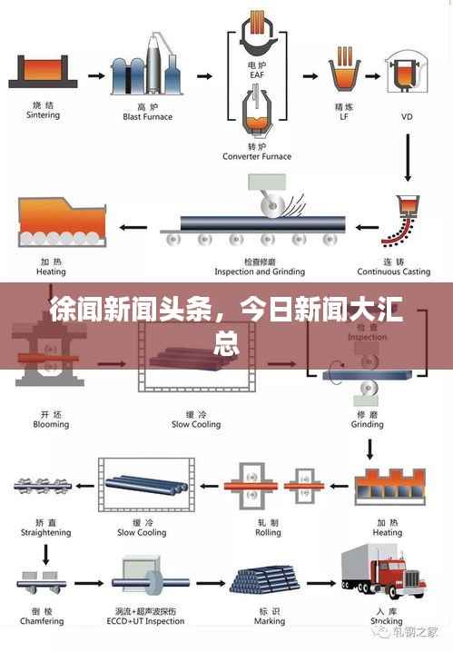 徐闻新闻头条,今日新闻大汇总