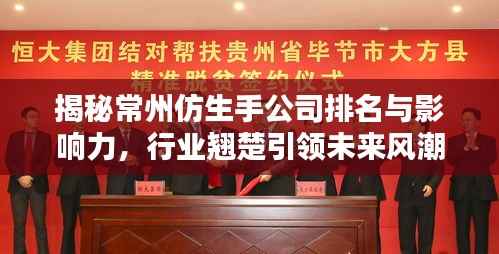 揭秘常州仿生手公司排名与影响力,行业翘楚引领未来风潮!