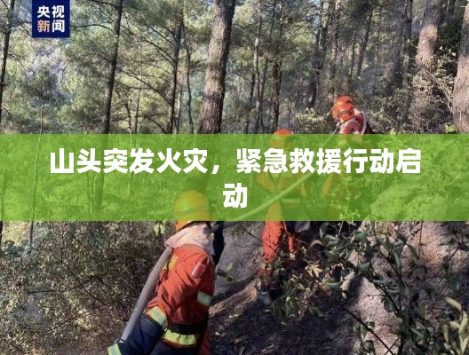 山头突发火灾,紧急救援行动启动