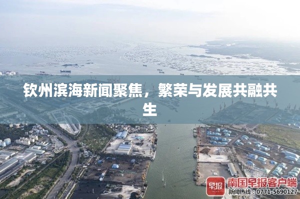 钦州滨海新闻聚焦,繁荣与发展共融共生