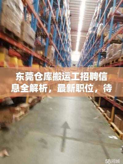 东莞仓库搬运工招聘信息全解析,最新职位,待遇详解