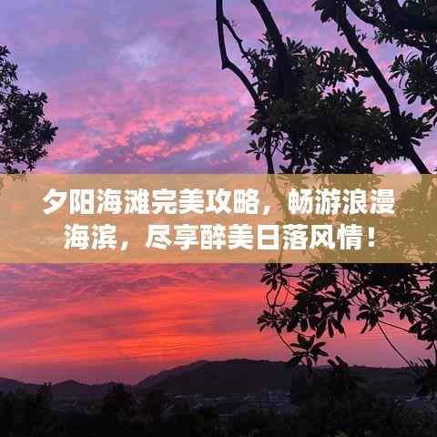 夕阳海滩完美攻略,畅游浪漫海滨,尽享醉美日落风情!