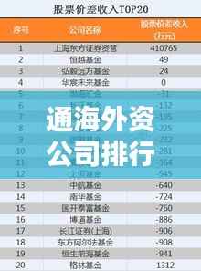 通海外资公司排行榜及影响力深度解析