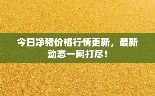 今日净猪价格行情更新,最新动态一网打尽!