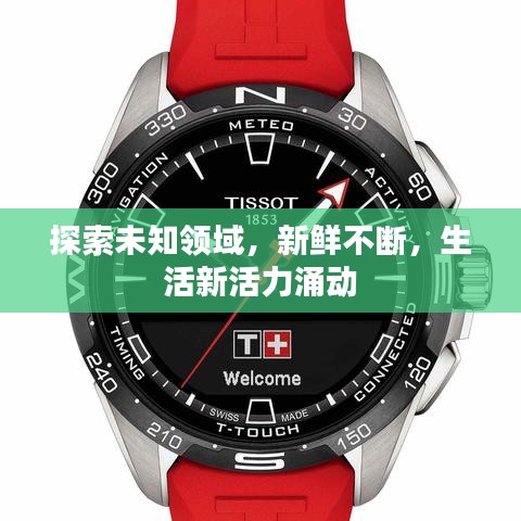 探索未知领域,新鲜不断,生活新活力涌动