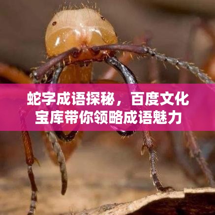 蛇字成语探秘,百度文化宝库带你领略成语魅力