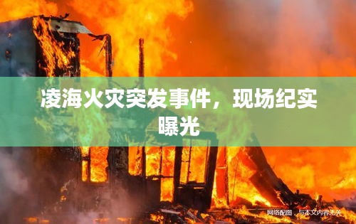 凌海火灾突发事件,现场纪实曝光
