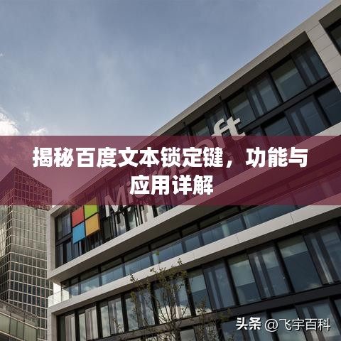 揭秘百度文本锁定键,功能与应用详解