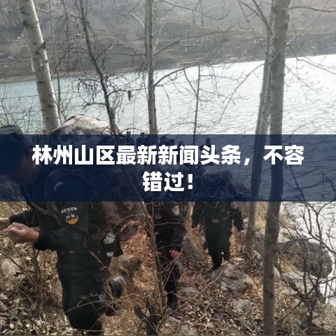 林州山区最新新闻头条,不容错过!