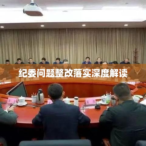 纪委问题整改落实深度解读