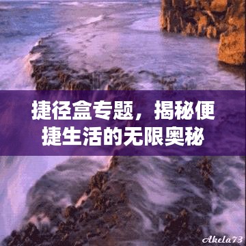 捷径盒专题,揭秘便捷生活的无限奥秘
