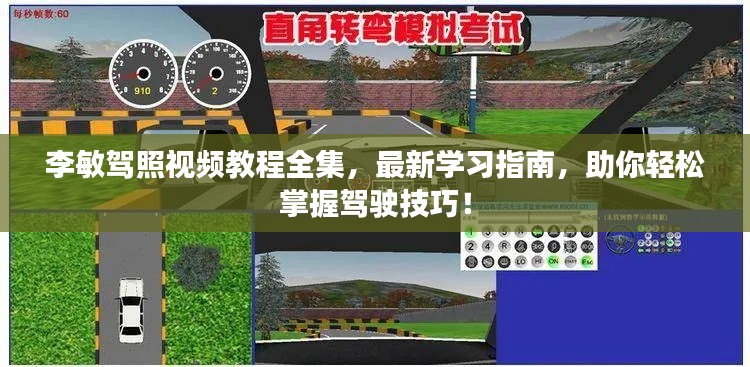 李敏驾照视频教程全集,最新学习指南,助你轻松掌握驾驶技巧!