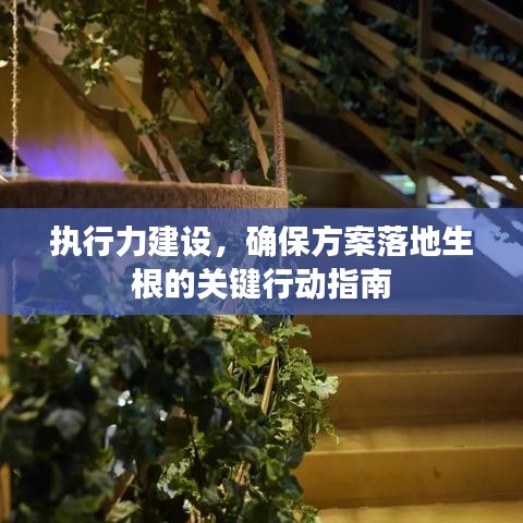 执行力建设,确保方案落地生根的关键行动指南