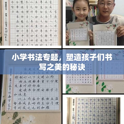 小学书法专题,塑造孩子们书写之美的秘诀