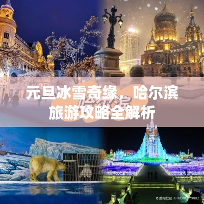 元旦冰雪奇缘,哈尔滨旅游攻略全解析