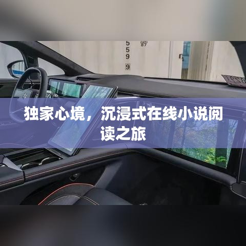 独家心境,沉浸式在线小说阅读之旅