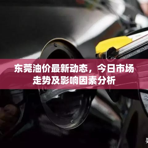 东莞油价最新动态,今日市场走势及影响因素分析