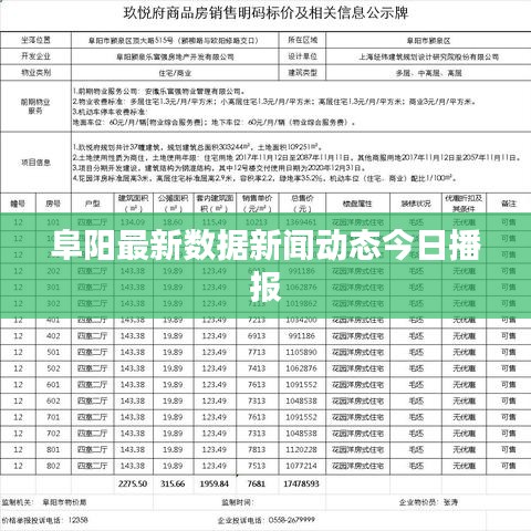 阜阳最新数据新闻动态今日播报